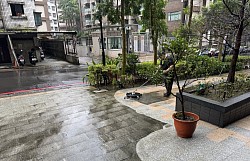 社區外圍走道青苔去除