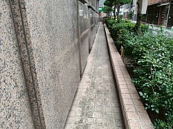 佈滿青苔與髒污的瓷磚