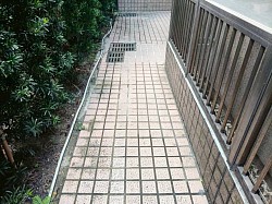 佈滿青苔與髒污的瓷磚